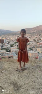 پارک بانه