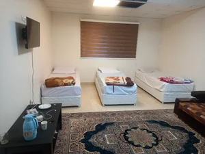 مامورسرا سازمان حفاظت محیط زیست