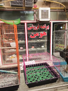 مرکز خرید و فروش پرندگان زینتی