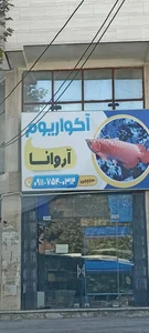 آکواریوم آروانا