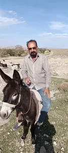 گله دونی صابر