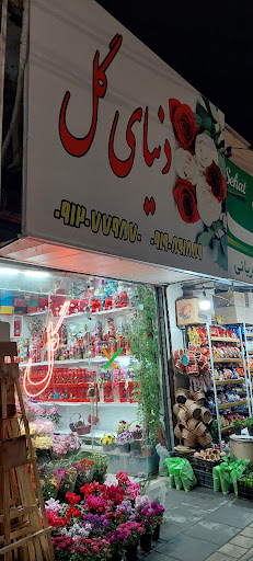 دنیای گل