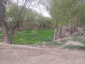 مجتمع حیات