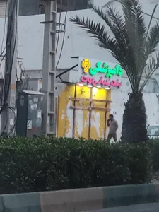 کلینیک دامپزشکی بندرعباس وت