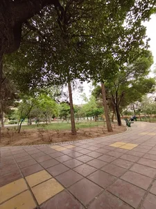 بوستان سمیه