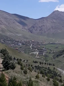 بام پردیس
