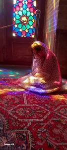 هتل فرهنگیان شیراز