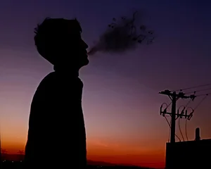 سجادیه قریه بند امیر کوچه ۳