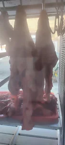 گوشت و مرغ کلاسیک 2