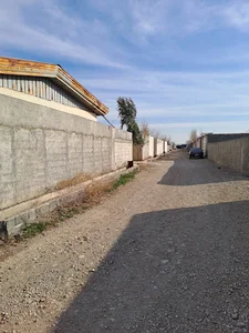 کوچه باغ