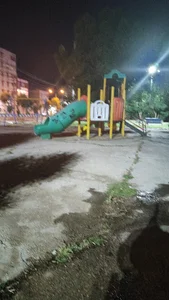 پارک محله ای