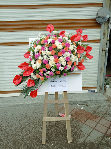 گلفروشی شقایق