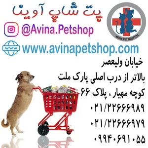 پت شاپ اینترنتی آوینا