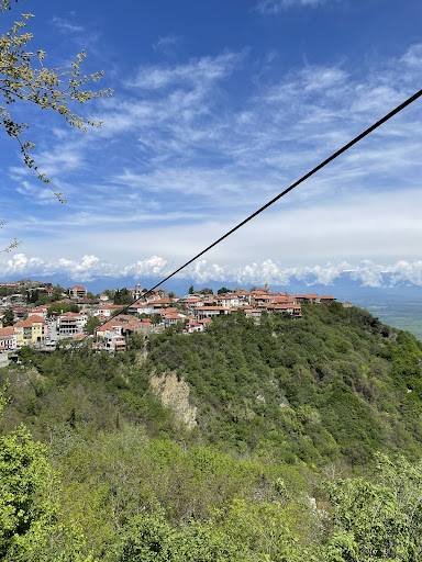 Zipline Signagi