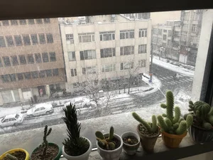 شرکت مدی لینک
