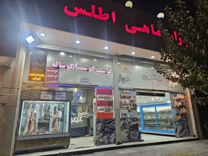 ماهی و مرغ اطلس 2