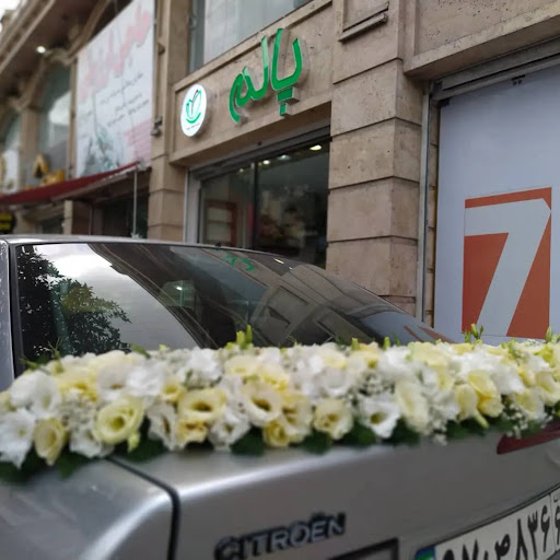 گل و گیاه پالم