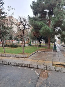 بوستان آبنوس