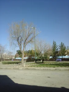 فرهنگسرا