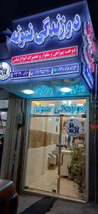 دوزندگی نمونه