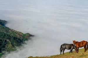 KindIran