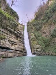 لوازم خانگی مجتبی جلیلی
