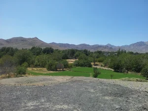 تپه چغاد