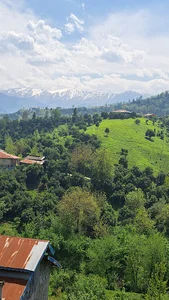 غذا خوری گیلانه