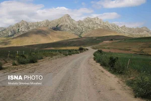 تولیدی سرویس آشپزخانه پرنس
