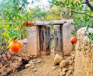 آتلیه تشریفات رشیدآبادی