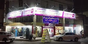 بیمه ایران کد 38696