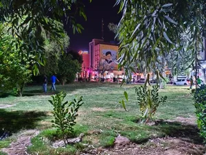 پارک زیتون 5