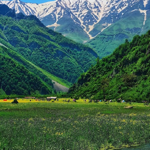 پارک کوچه عارف