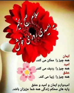 تجهیزات پزشکی پهلوان 3