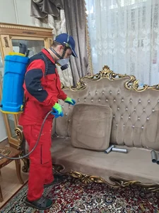 شرکت سمپاشی ساس VIP - سمپاشی ساس تضمینی 2