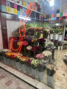 گل پیونی 3