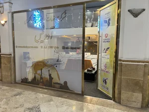 آژانس مسافرتی آدونیس