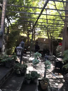 رستوران شکوفه 2