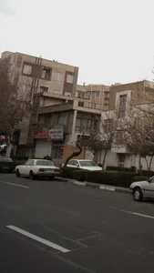 پیتزا ساندویچ فلافل سون 4