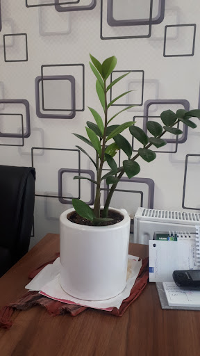 مدیرمارکت