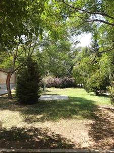 بوستان علوی