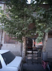 عطاری آریا 2