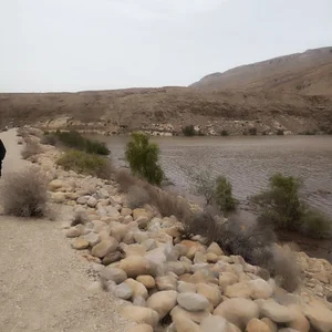 سد بردول پارسیان