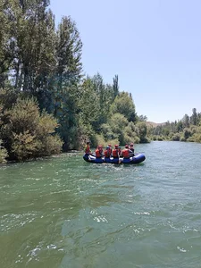 رفتینگ