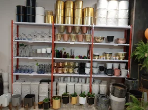 فروشگاه گل افرا