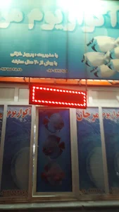 اکواریوم مرجان