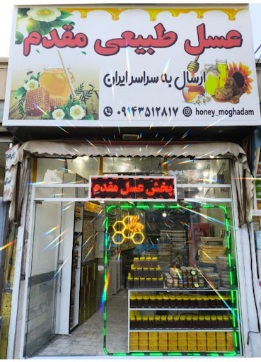 اتو گالری مقدم
