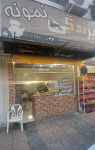پزندگی نمونه