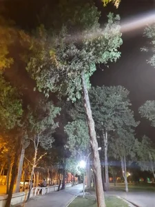پارک 17 تن 2