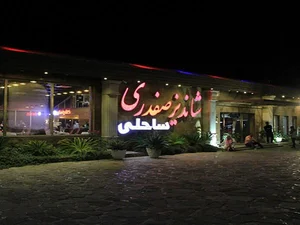 شاندیز صفدری 4